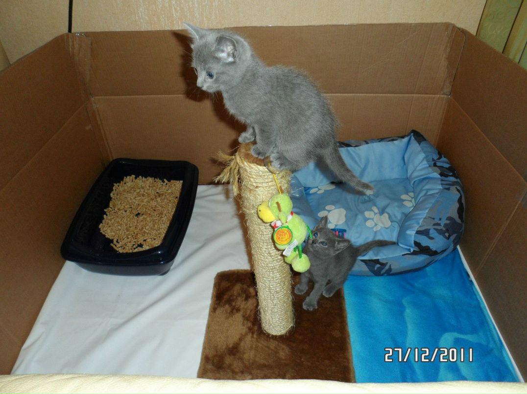 Ирина Егорова | Санкт-Петербург