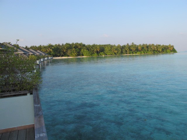 Владислав Волосков | Санкт-Петербург