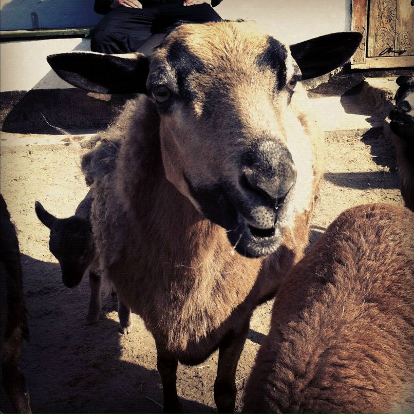 Татьяна Милимко | Одесса