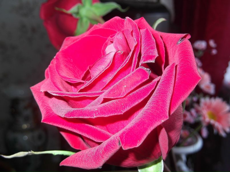 Евгения Тимощук | Тюмень