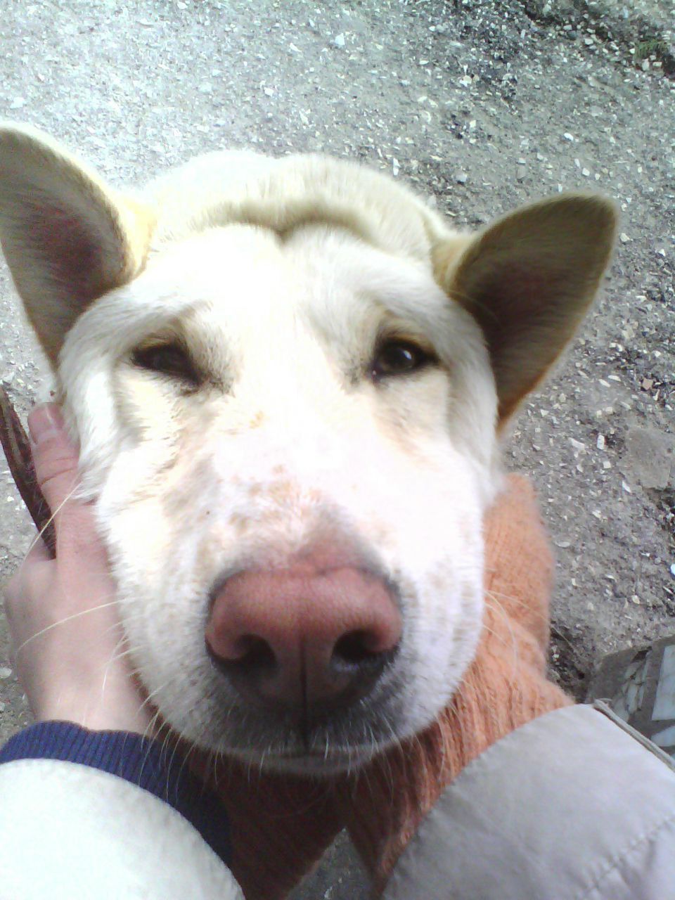 Lena Gan-Gayatri | Геленджик