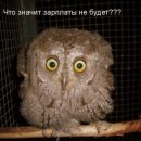 Айрат Ахметьянов | Октябрьский