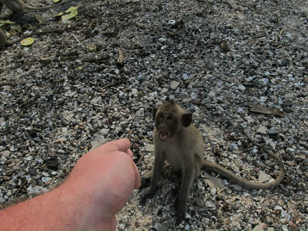 Денис Игнатьев | Санкт-Петербург