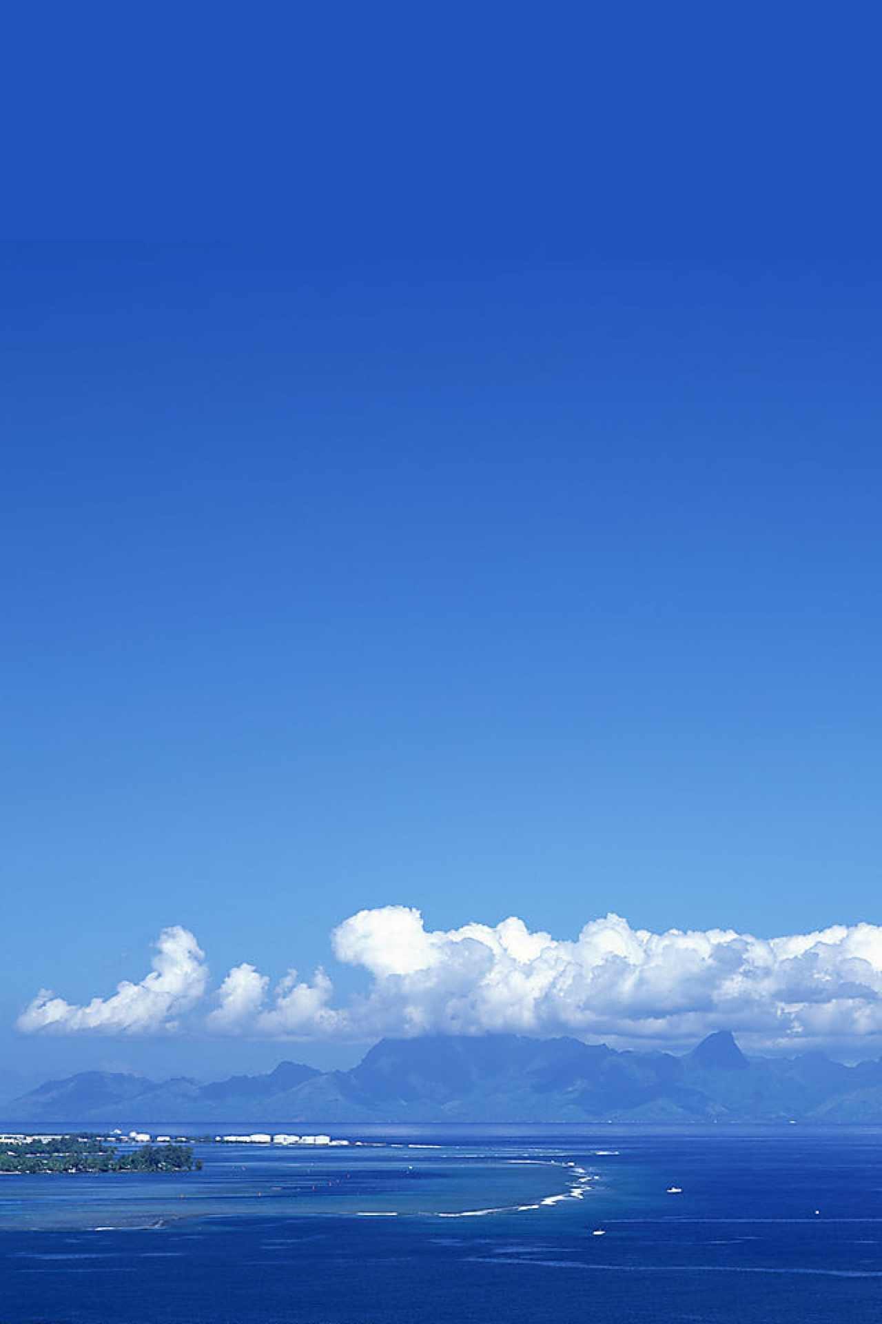 Narine Khachatryan | Москва