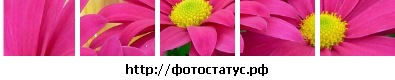 №30, Мария Семенова, 35 лет №30, Мария Семенова, 35 лет