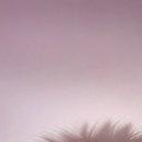 №44, Вячеслав Бабешко, 36 лет, Лисичанск №44, Вячеслав Бабешко, 36 лет, Лисичанск