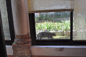 Александр Тропинков | Москва