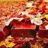 №1, Максім Науменко, 36 лет, Умань №1, Максім Науменко, 36 лет, Умань