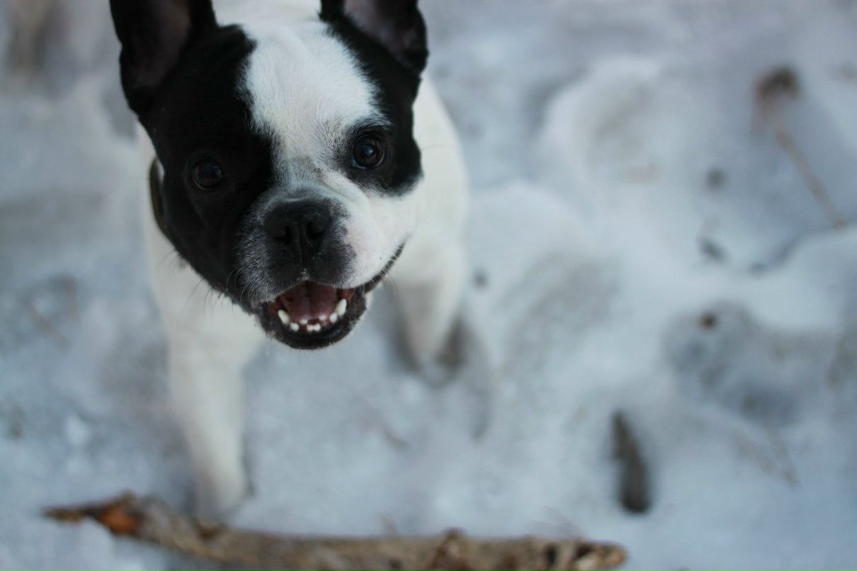 Иван Наумов | Тюмень