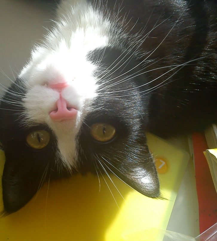 Денис Боронников | Пермь