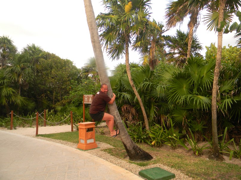 Василий Дзен | Сочи