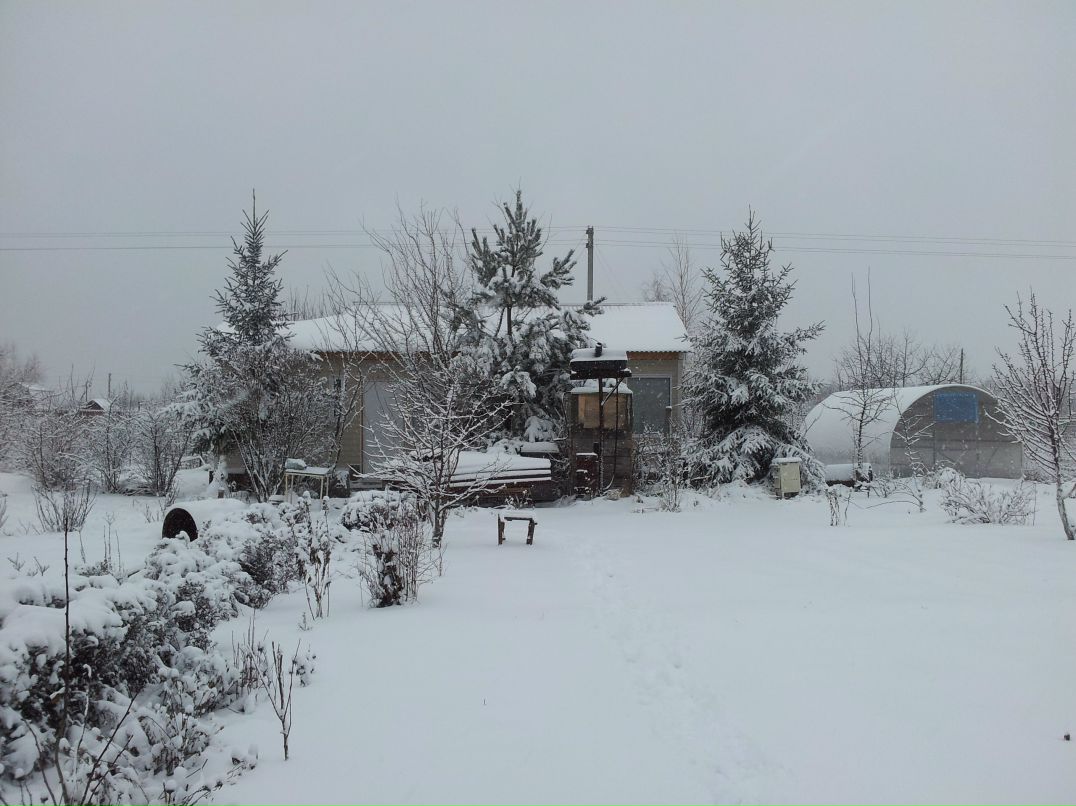 Светлана Анохина | Воронеж