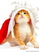 №108, Ольга Корявец, 32 года, Чернигов №108, Ольга Корявец, 32 года, Чернигов