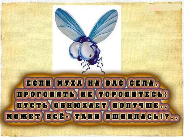 Римма Кокурина | Санкт-Петербург