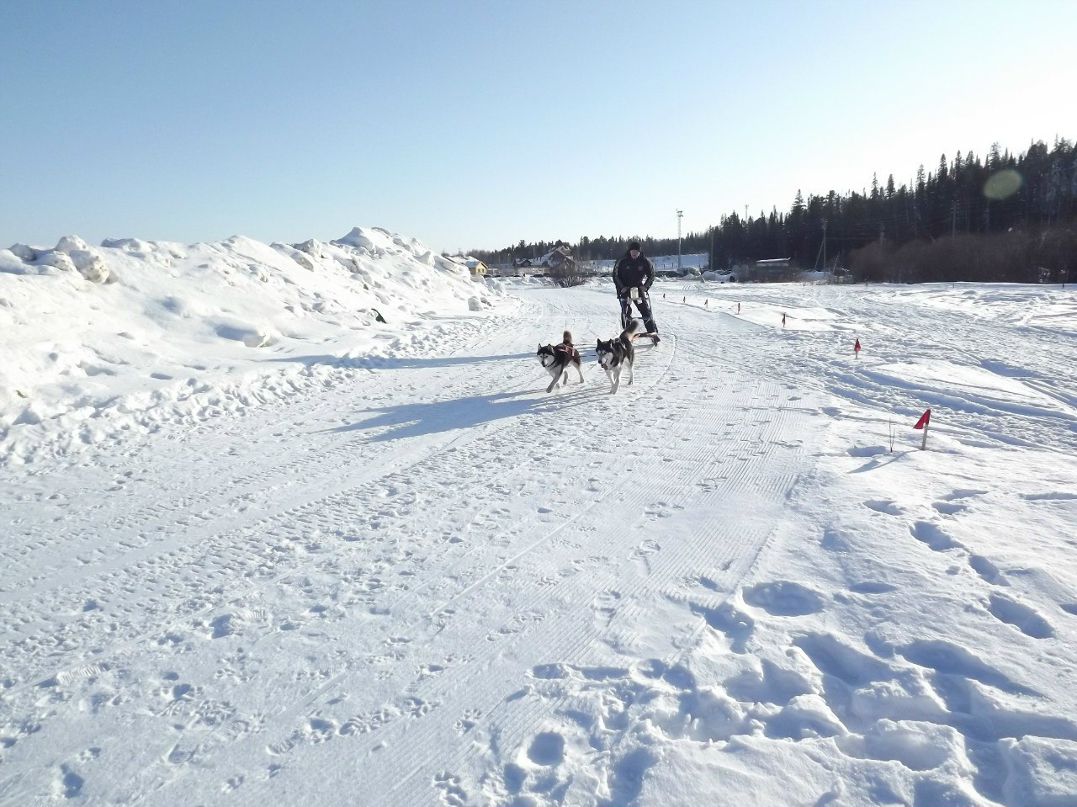 Олег Госедло | Нижневартовск