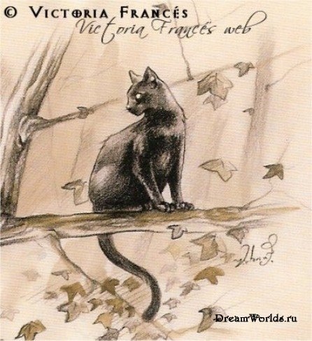 Алиса Нарина | Донецк