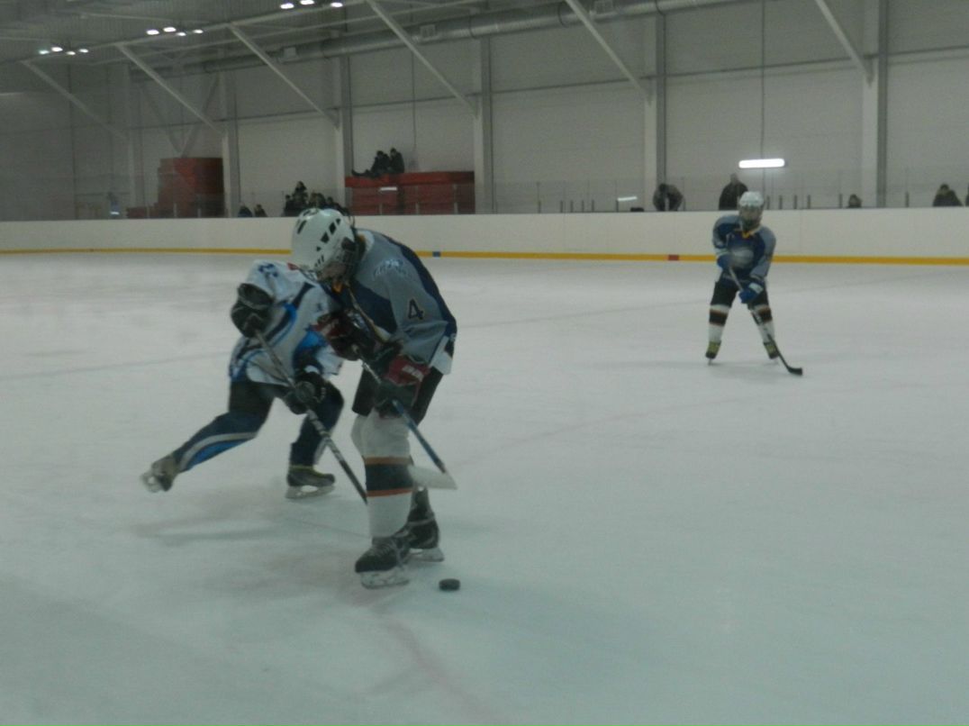 Елена Дмитриева | Санкт-Петербург