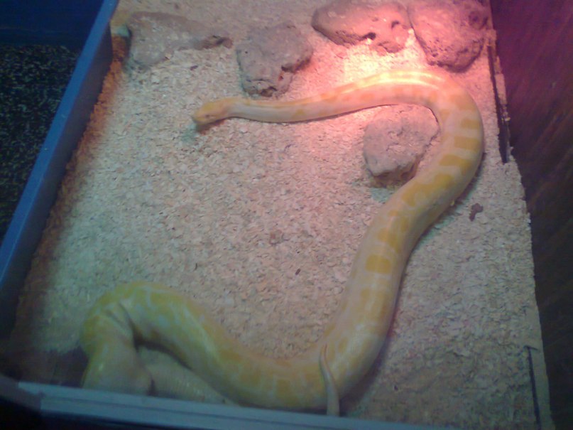 Марина Сахненко | Сумы