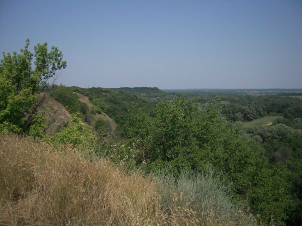 №20, Рома Шепель, 30.11, Горишние Плавни / Комсомольск №20, Рома Шепель, 30.11, Горишние Плавни / Комсомольск