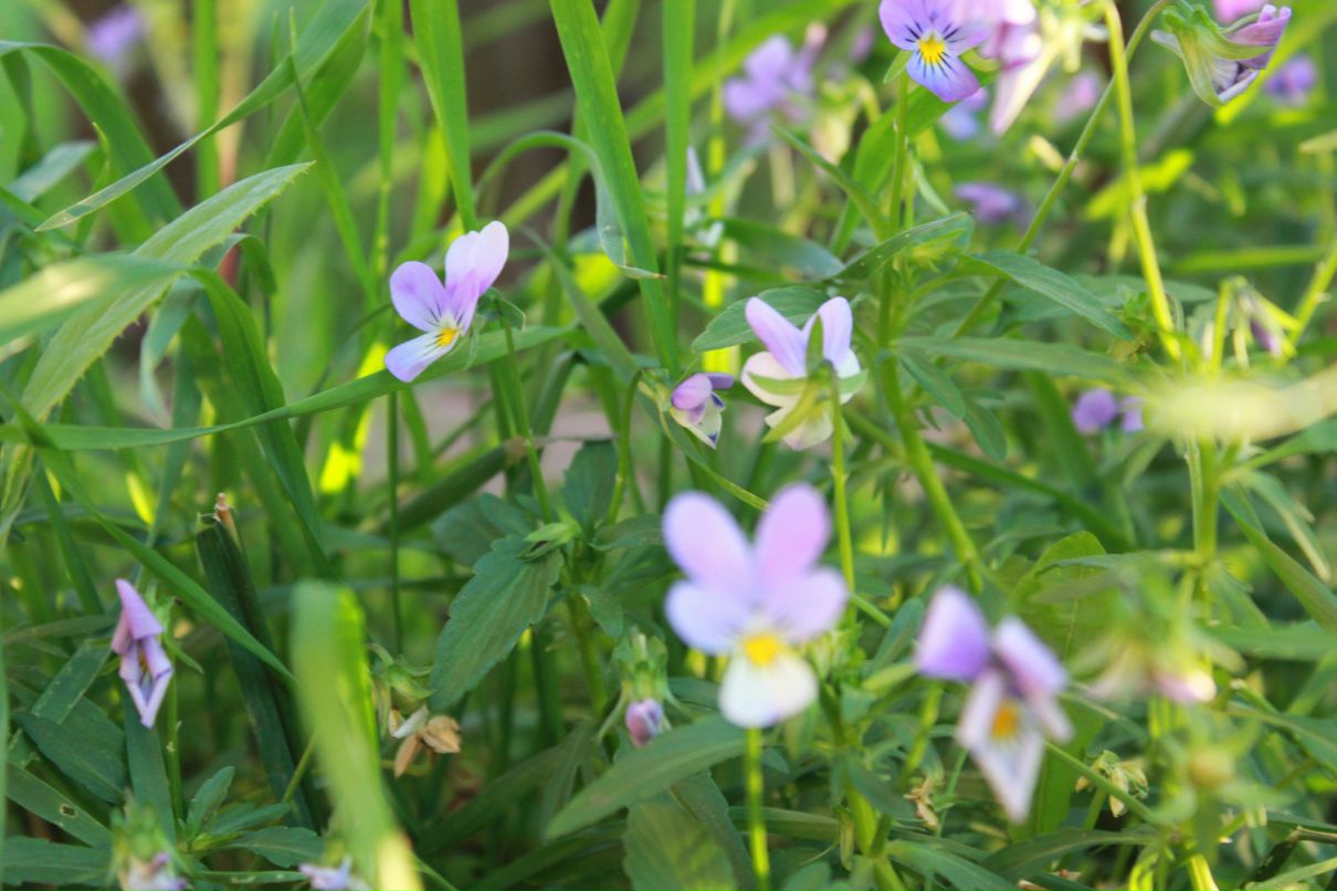 Виктория Кузнецова | Иркутск