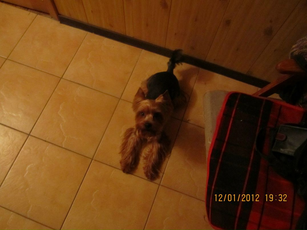 Паша Блашников | Санкт-Петербург