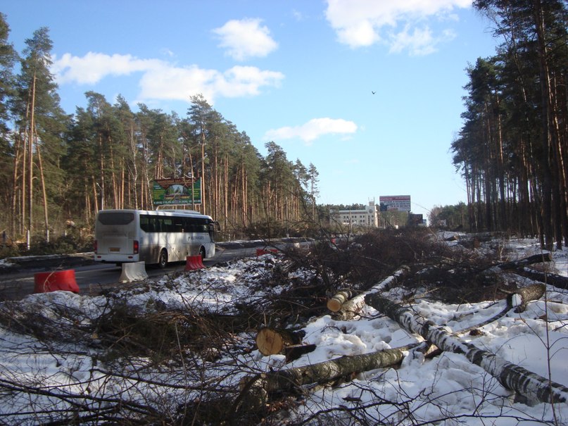 God_весть_ What | Йыхви