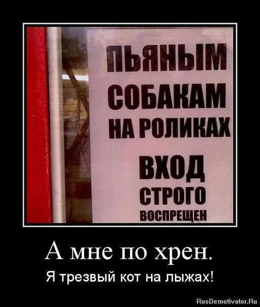 Влад Шаклеин | Руза