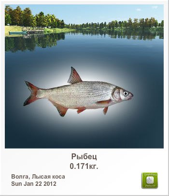 Витаха Карпов | Санкт-Петербург