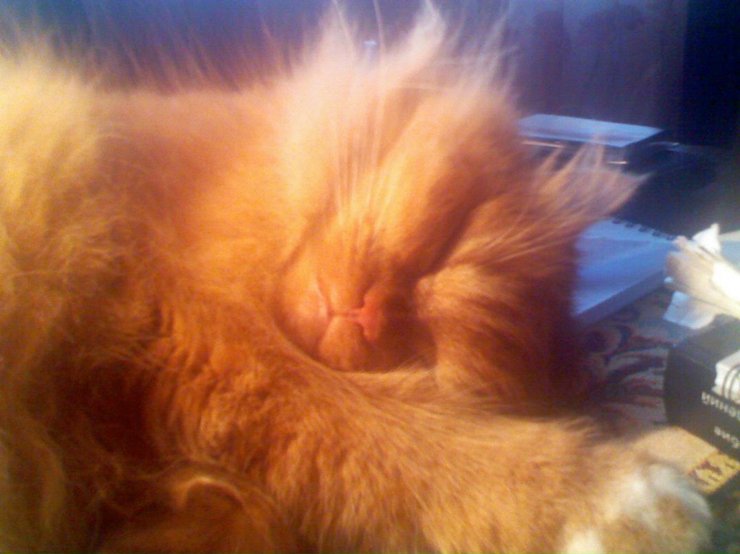 Даниил Сосулин | Москва