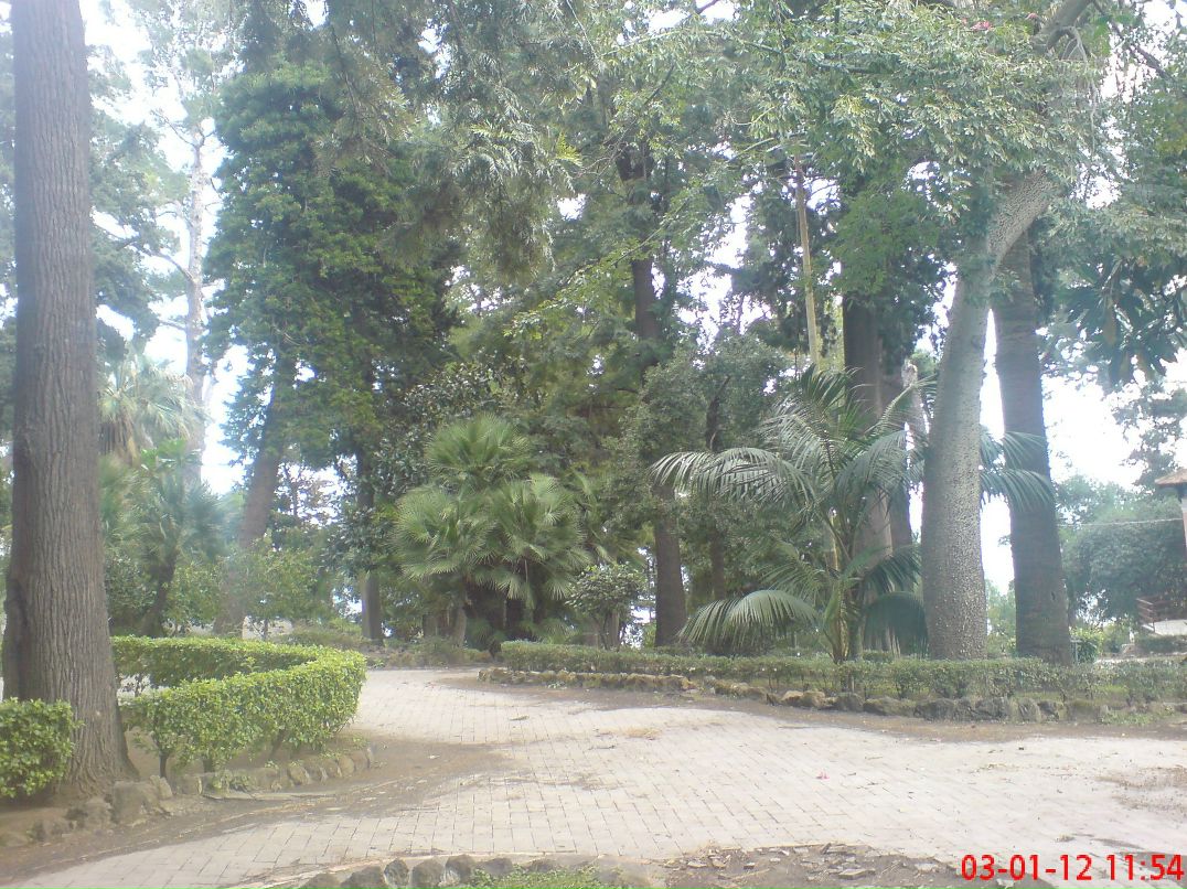 Наташа Дьячкова | Липецк