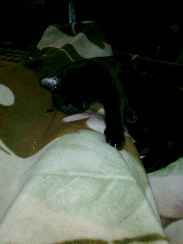 Александр Коршунов | Санкт-Петербург