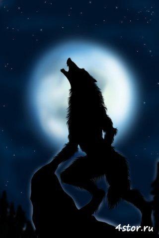 Андрей Квашнин =))) | Казань