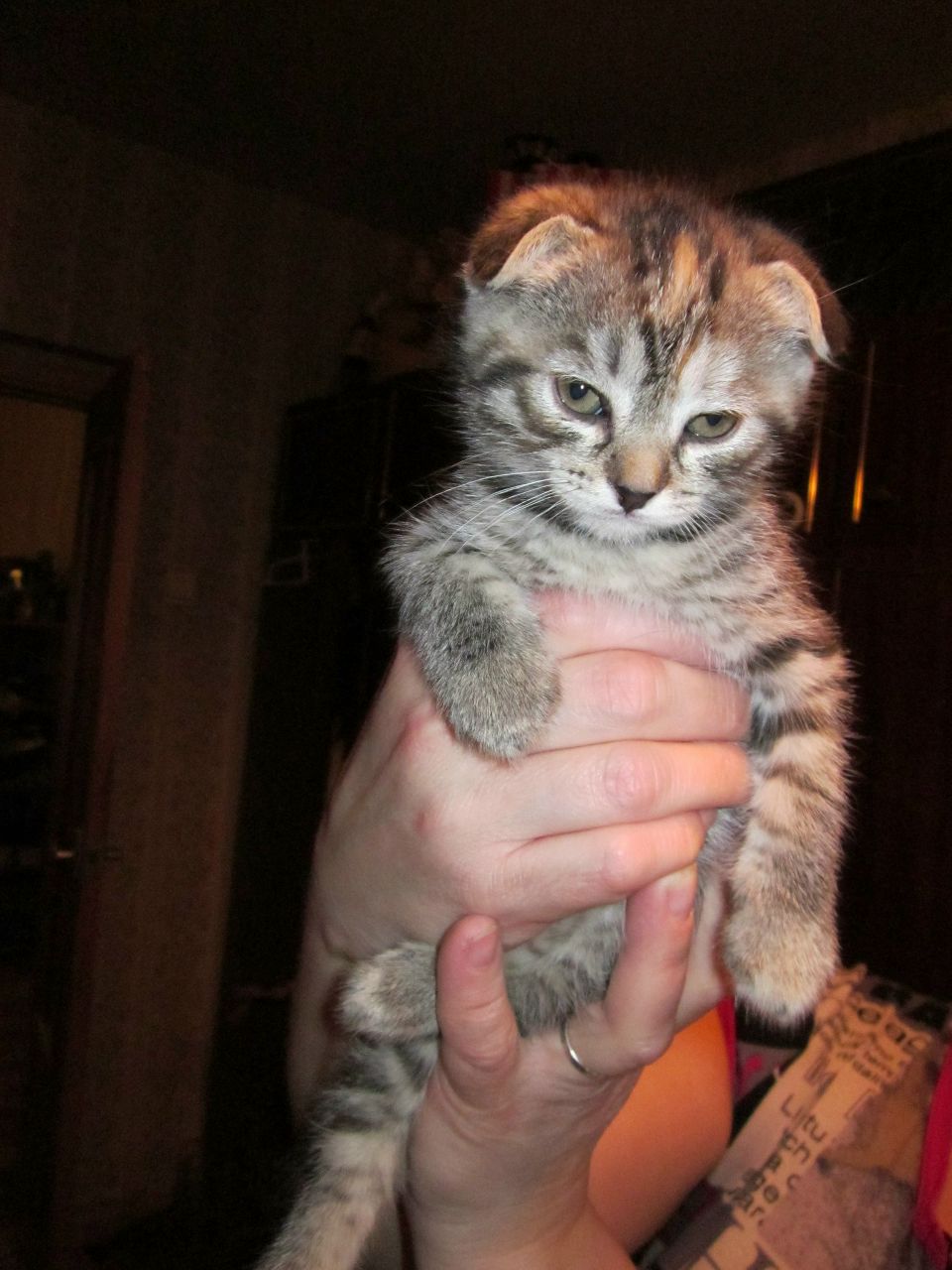 Анастасия Черкасова | Москва