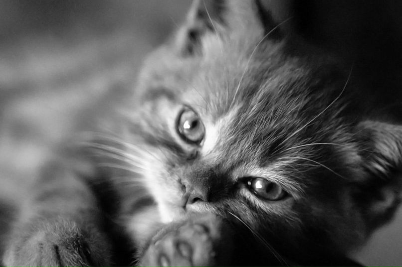 Юлия Ильменева | Москва