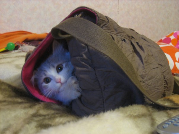 Инна Коннова ૐ | Москва