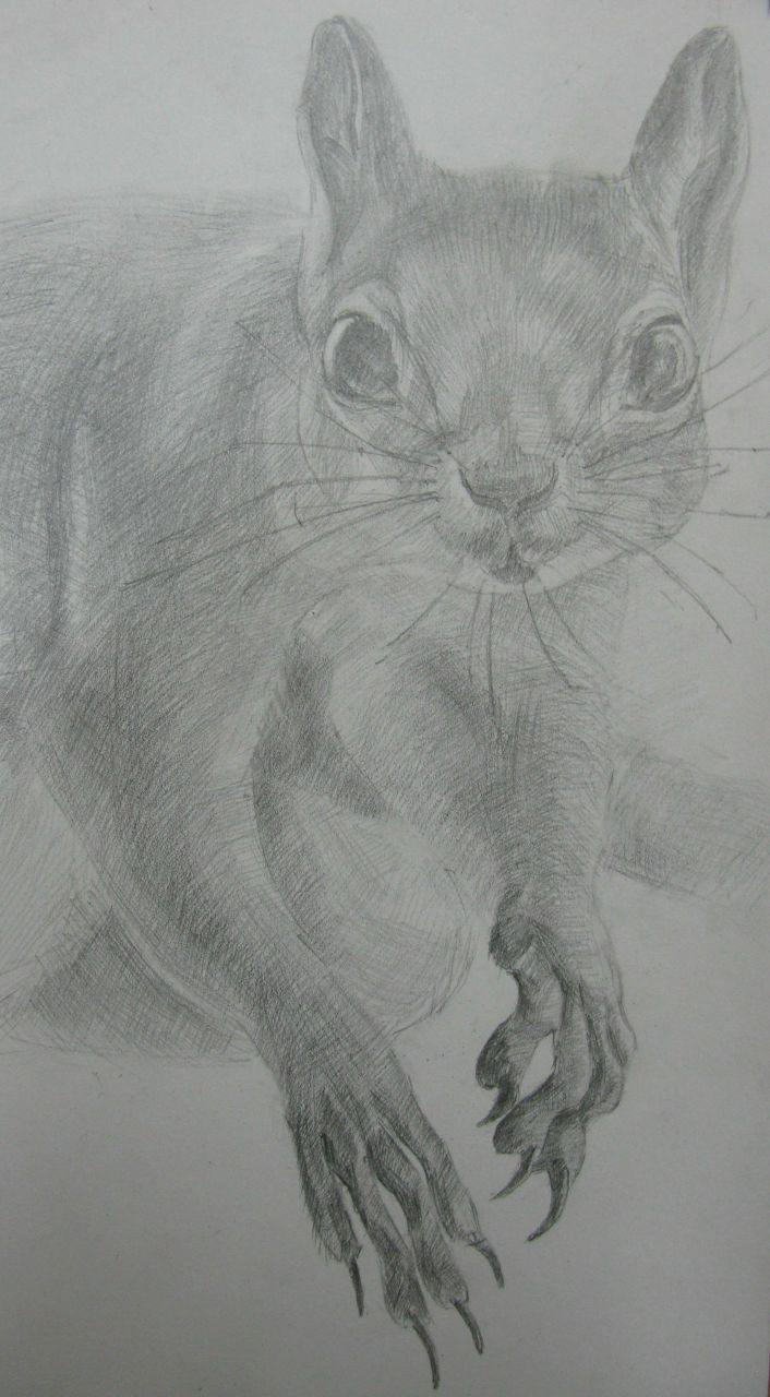 Роман Грищенко | Севастополь