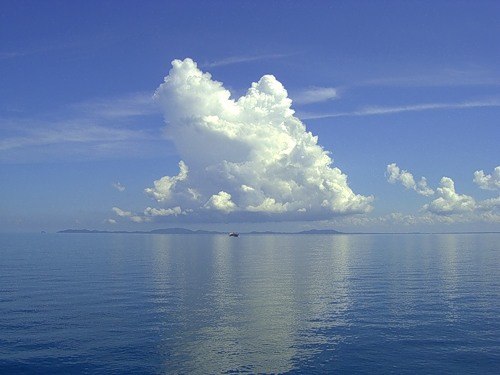 Ирина Чистякова | 