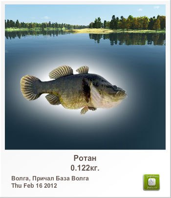 Kardan *** | Новополоцк