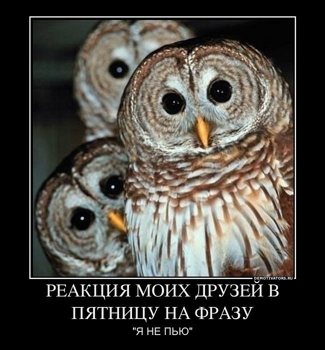 Василий Полюхович | Днепр (Днепропетровск)