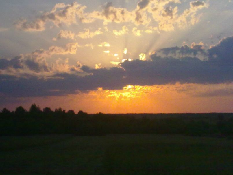 Алексей Панфилов | Ярославль