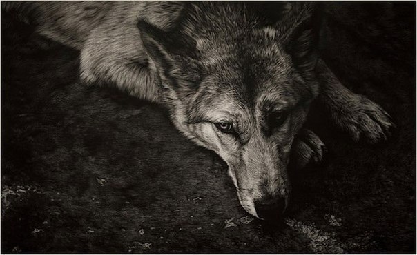 Валера Боровской | Москва