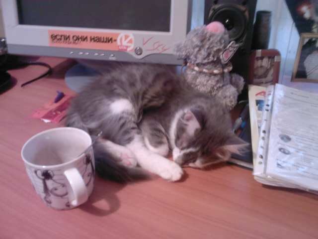 Катюшка Жевагина | 