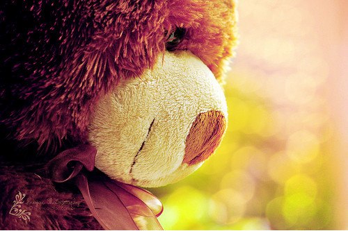 Тедді Бер | Киев