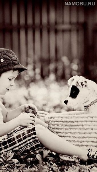 №26, Алена Оныщенко, 33 года, Днепр (Днепропетровск) №26, Алена Оныщенко, 33 года, Днепр (Днепропетровск)