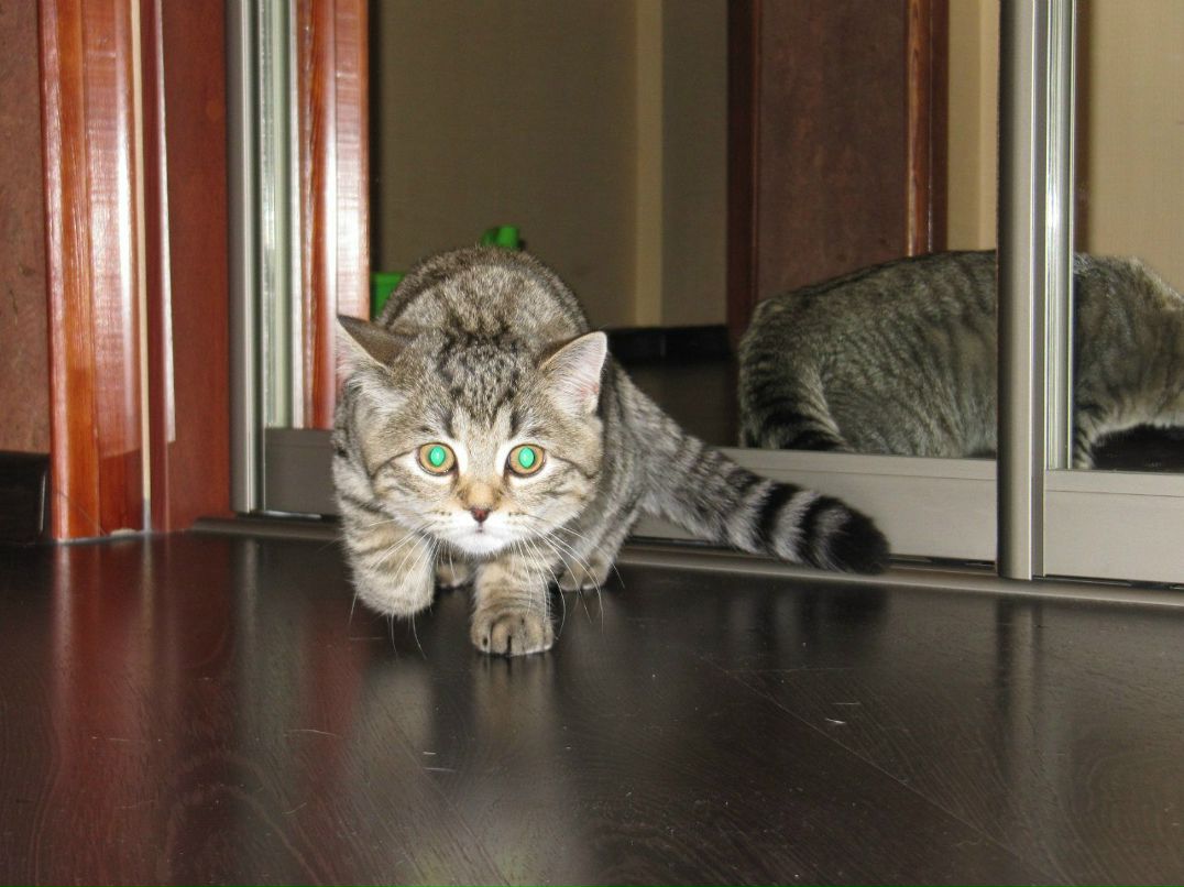 Вероника Губанова | Новокузнецк