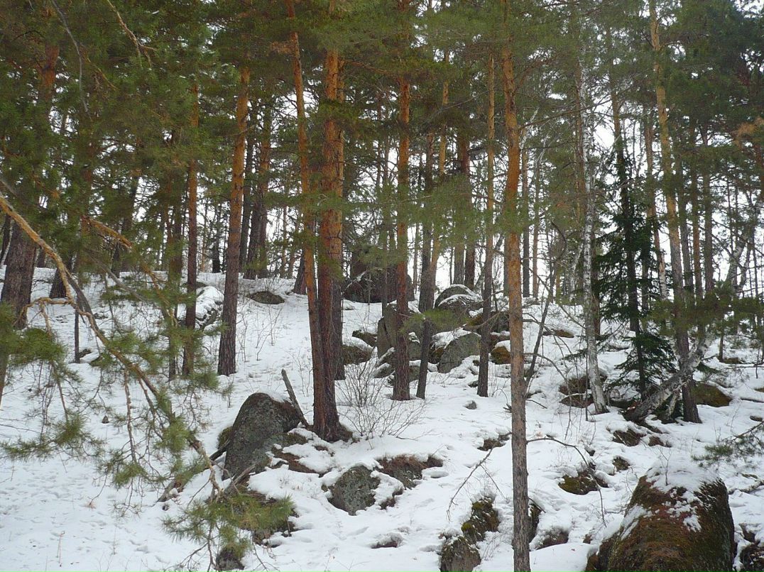 Сергей Рябухин | Калининград