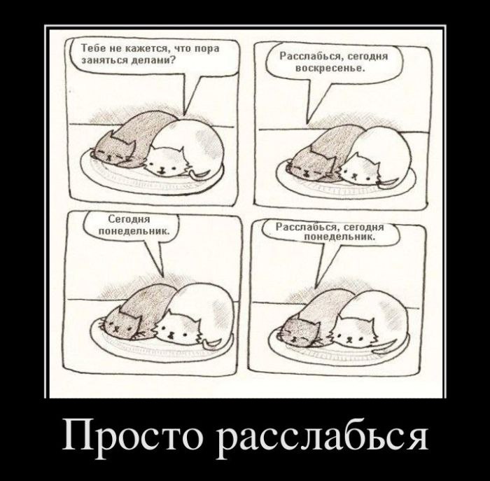 Влерий Морковкин | Ново-Бобруйск