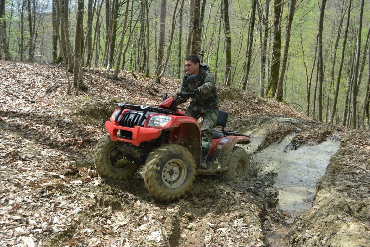 Андрей Елисеев | Сочи