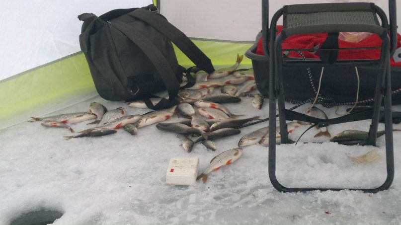 Дмитрий Драчёв | Санкт-Петербург