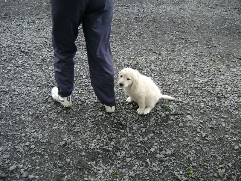 Настенька Гриневич ZayA | Минск